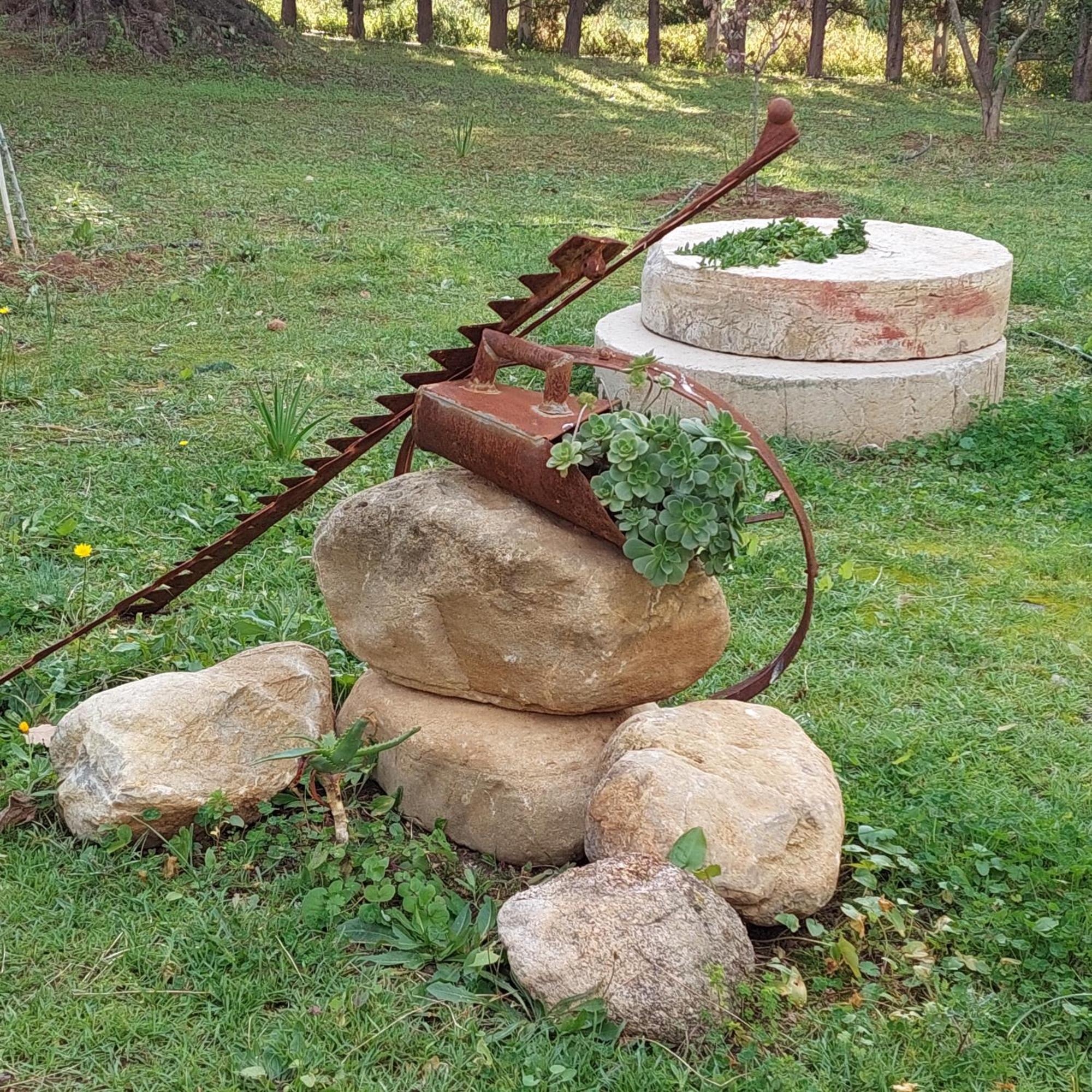 Bed and Breakfast La Piana Degli Ulivi Россано Экстерьер фото